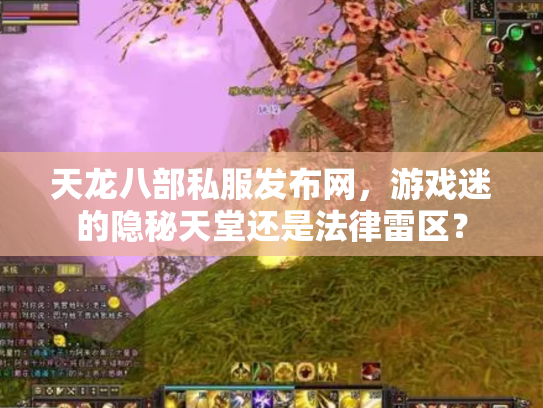 天龙八部私服发布网，游戏迷的隐秘天堂还是法律雷区？