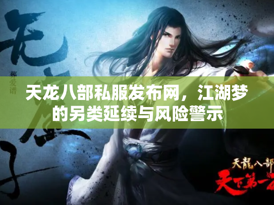 天龙八部私服发布网，江湖梦的另类延续与风险警示
