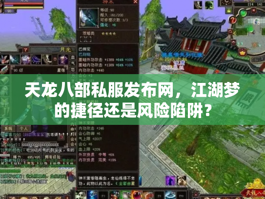 天龙八部私服发布网，江湖梦的捷径还是风险陷阱？