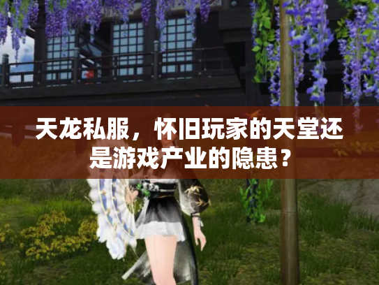 天龙私服，怀旧玩家的天堂还是游戏产业的隐患？