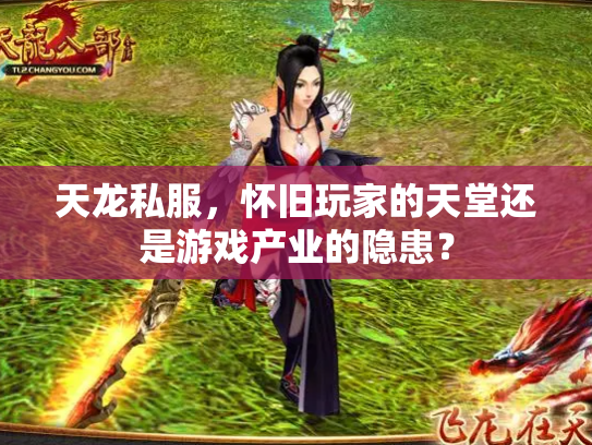 天龙私服，怀旧玩家的天堂还是游戏产业的隐患？
