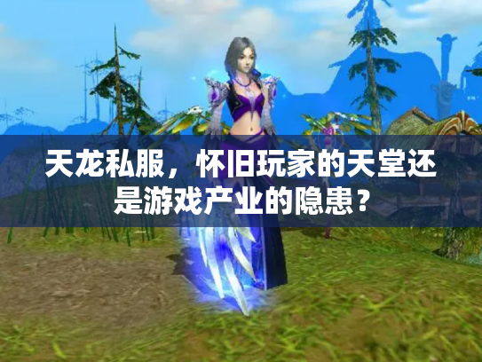 天龙私服，怀旧玩家的天堂还是游戏产业的隐患？