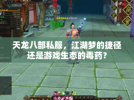 天龙八部私服，江湖梦的捷径还是游戏生态的毒药？