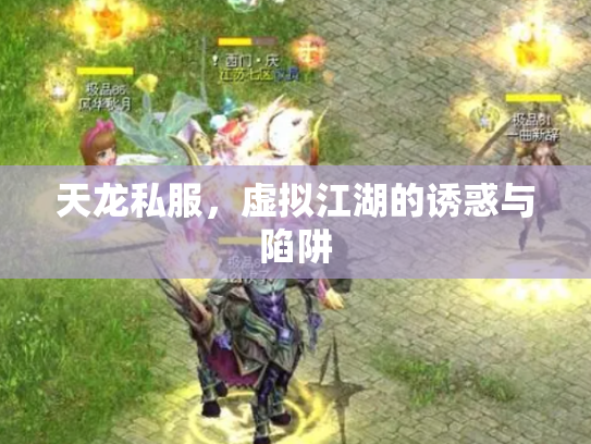 天龙私服，虚拟江湖的诱惑与陷阱