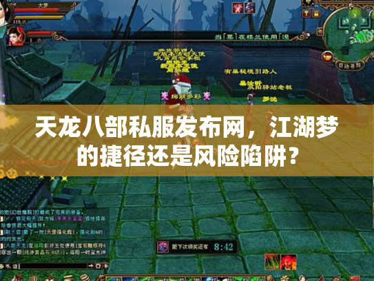 天龙八部私服发布网，江湖梦的捷径还是风险陷阱？
