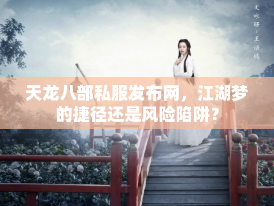天龙八部私服发布网，江湖梦的捷径还是风险陷阱？