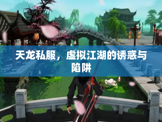 天龙私服，虚拟江湖的诱惑与陷阱