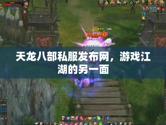 天龙八部私服发布网，游戏江湖的另一面