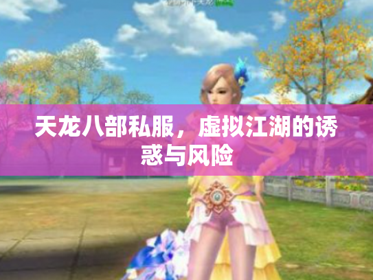 天龙八部私服，虚拟江湖的诱惑与风险