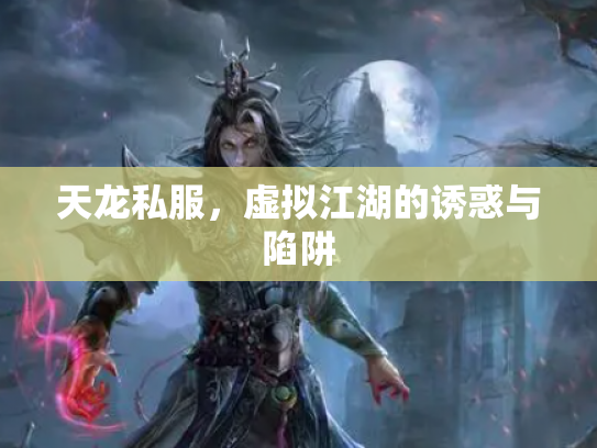 天龙私服，虚拟江湖的诱惑与陷阱