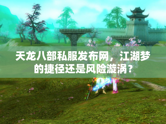 天龙八部私服发布网，江湖梦的捷径还是风险漩涡？