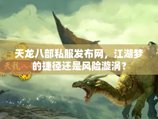 天龙八部私服发布网，江湖梦的捷径还是风险漩涡？