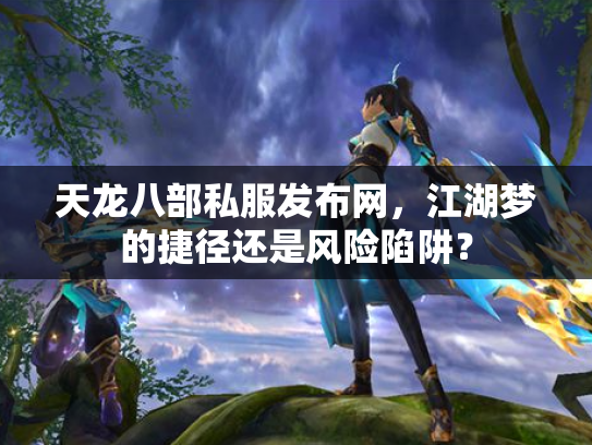 天龙八部私服发布网，江湖梦的捷径还是风险陷阱？