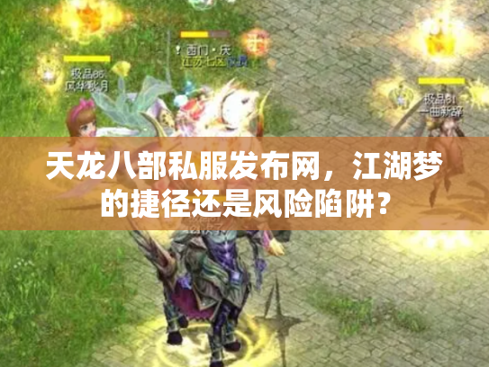 天龙八部私服发布网，江湖梦的捷径还是风险陷阱？