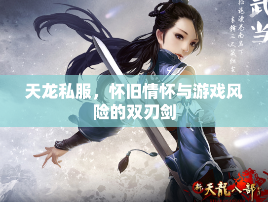 天龙私服，怀旧情怀与游戏风险的双刃剑