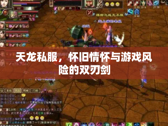 天龙私服，怀旧情怀与游戏风险的双刃剑
