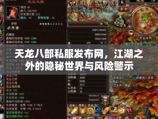 天龙八部私服发布网，江湖之外的隐秘世界与风险警示