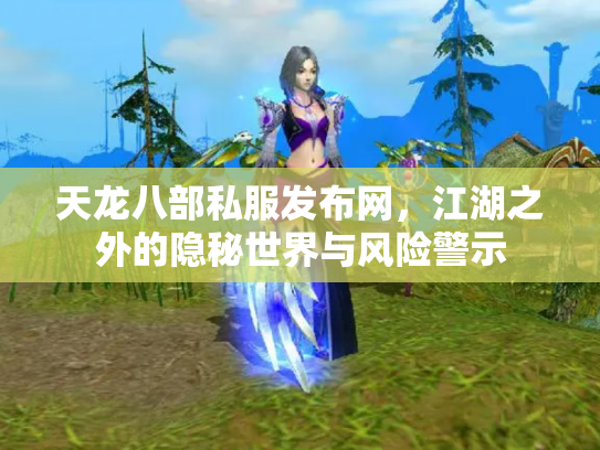 天龙八部私服发布网，江湖之外的隐秘世界与风险警示