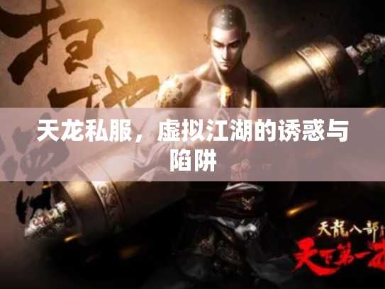 天龙私服，虚拟江湖的诱惑与陷阱