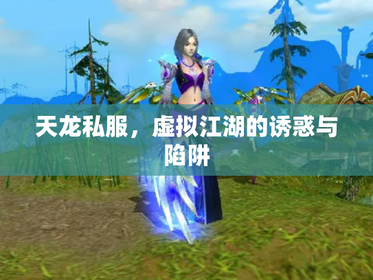 天龙私服，虚拟江湖的诱惑与陷阱