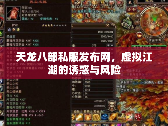 天龙八部私服发布网，虚拟江湖的诱惑与风险