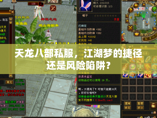 天龙八部私服，江湖梦的捷径还是风险陷阱？
