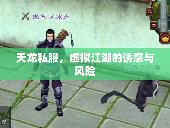 天龙私服，虚拟江湖的诱惑与风险