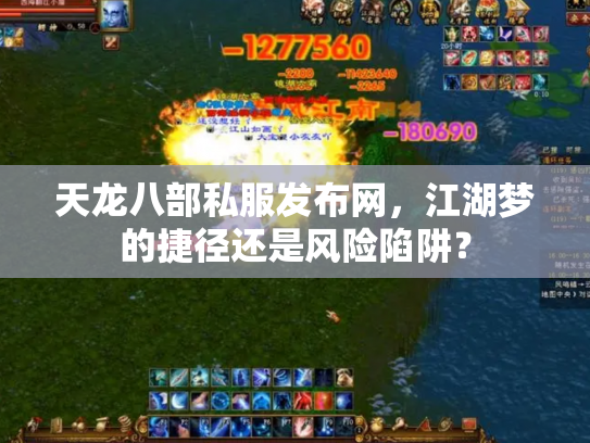 天龙八部私服发布网，江湖梦的捷径还是风险陷阱？