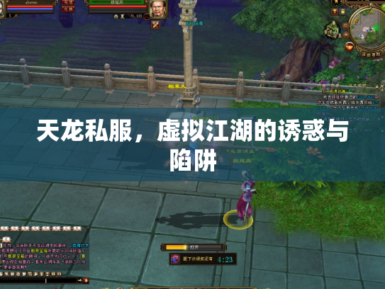 天龙私服，虚拟江湖的诱惑与陷阱