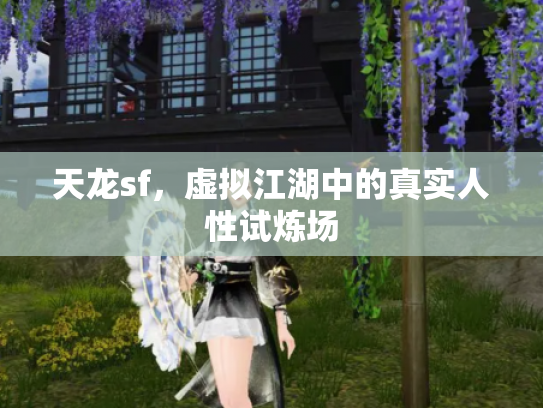 天龙sf，虚拟江湖中的真实人性试炼场