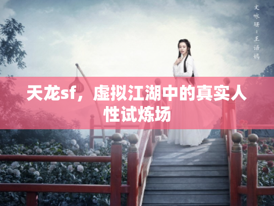 天龙sf，虚拟江湖中的真实人性试炼场