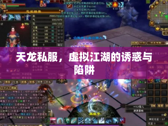 天龙私服，虚拟江湖的诱惑与陷阱