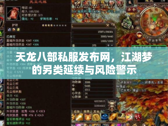 天龙八部私服发布网，江湖梦的另类延续与风险警示