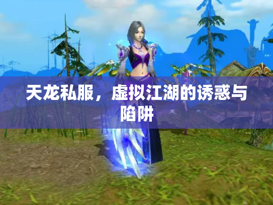 天龙私服，虚拟江湖的诱惑与陷阱