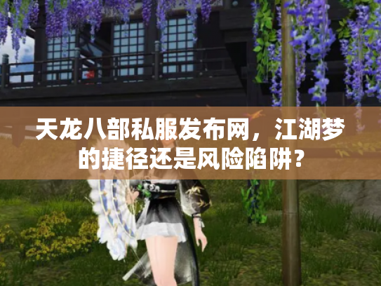 天龙八部私服发布网，江湖梦的捷径还是风险陷阱？