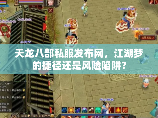 天龙八部私服发布网，江湖梦的捷径还是风险陷阱？