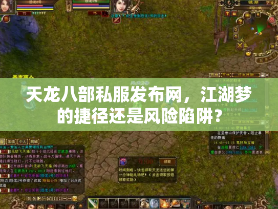 天龙八部私服发布网，江湖梦的捷径还是风险陷阱？