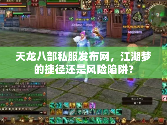 天龙八部私服发布网，江湖梦的捷径还是风险陷阱？