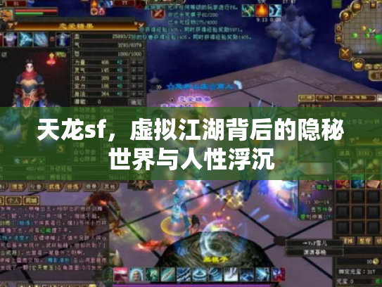 天龙sf，虚拟江湖背后的隐秘世界与人性浮沉