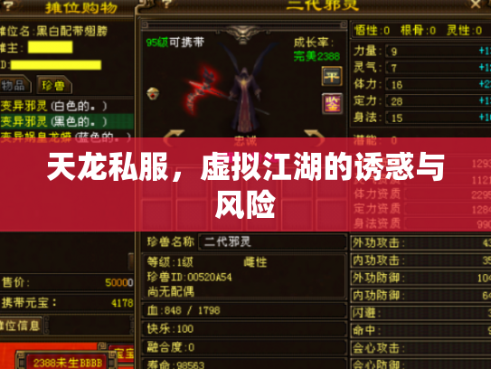 天龙私服，虚拟江湖的诱惑与风险