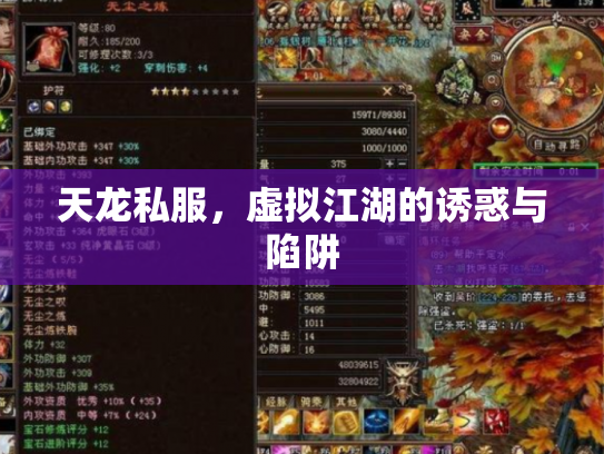 天龙私服，虚拟江湖的诱惑与陷阱