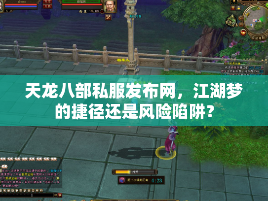 天龙八部私服发布网，江湖梦的捷径还是风险陷阱？