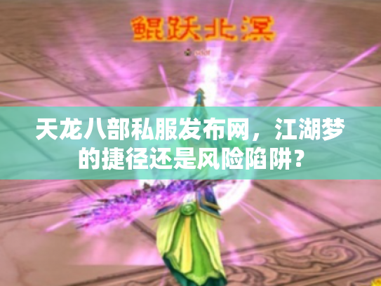 天龙八部私服发布网，江湖梦的捷径还是风险陷阱？