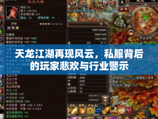 天龙江湖再现风云，私服背后的玩家悲欢与行业警示