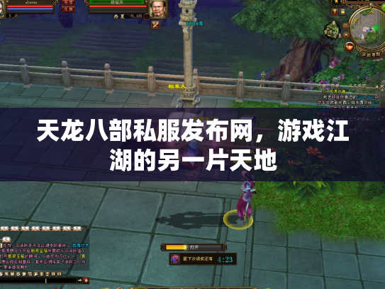 天龙八部私服发布网，游戏江湖的另一片天地