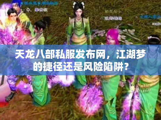 天龙八部私服发布网，江湖梦的捷径还是风险陷阱？
