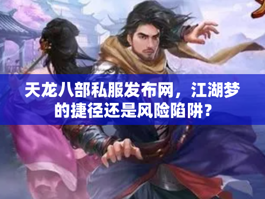 天龙八部私服发布网，江湖梦的捷径还是风险陷阱？