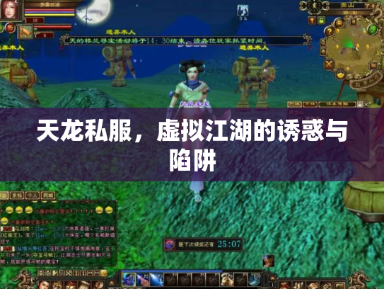 天龙私服，虚拟江湖的诱惑与陷阱