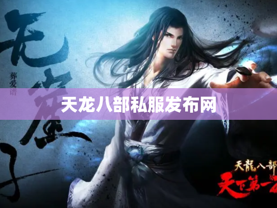 天龙八部私服发布网