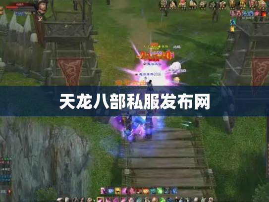 天龙八部私服发布网